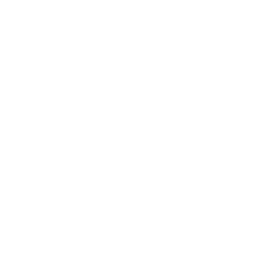 Barcenas & Sons logo