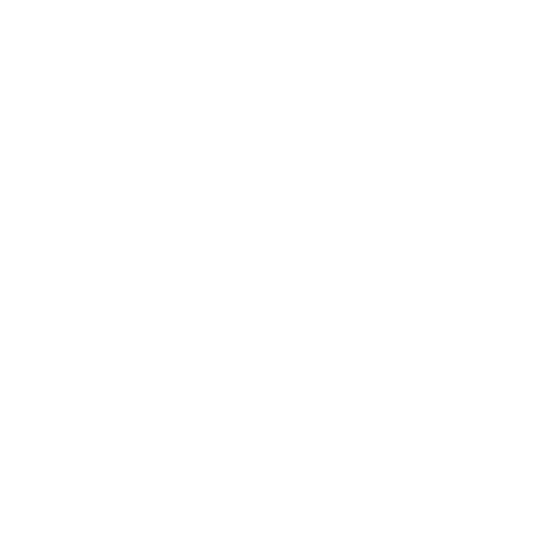 Boundary Zone logo