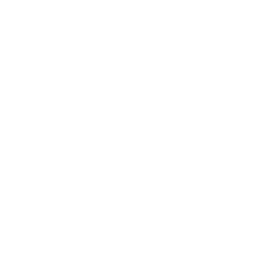 Lighthouse Engineering logo